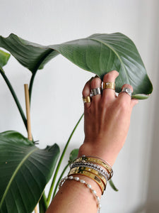 Anillo Circo